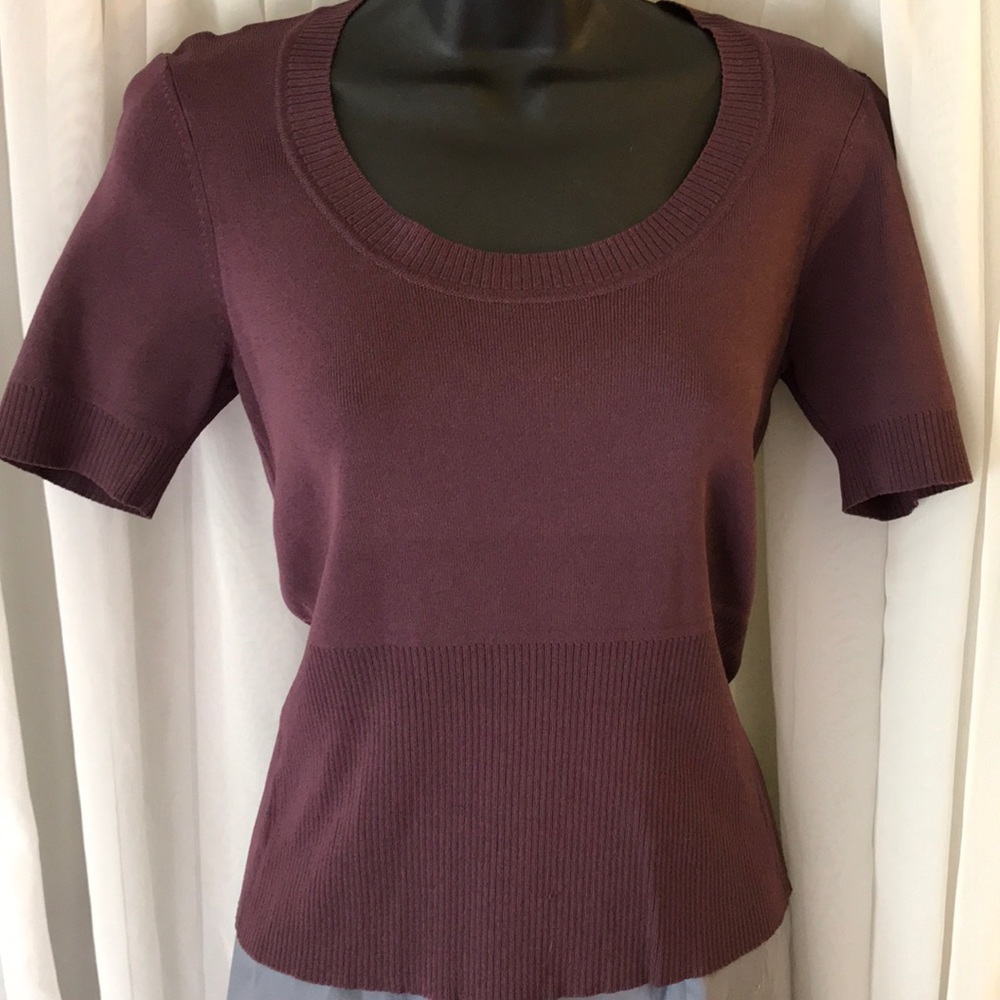 BNWOT Anne Taylor sweater